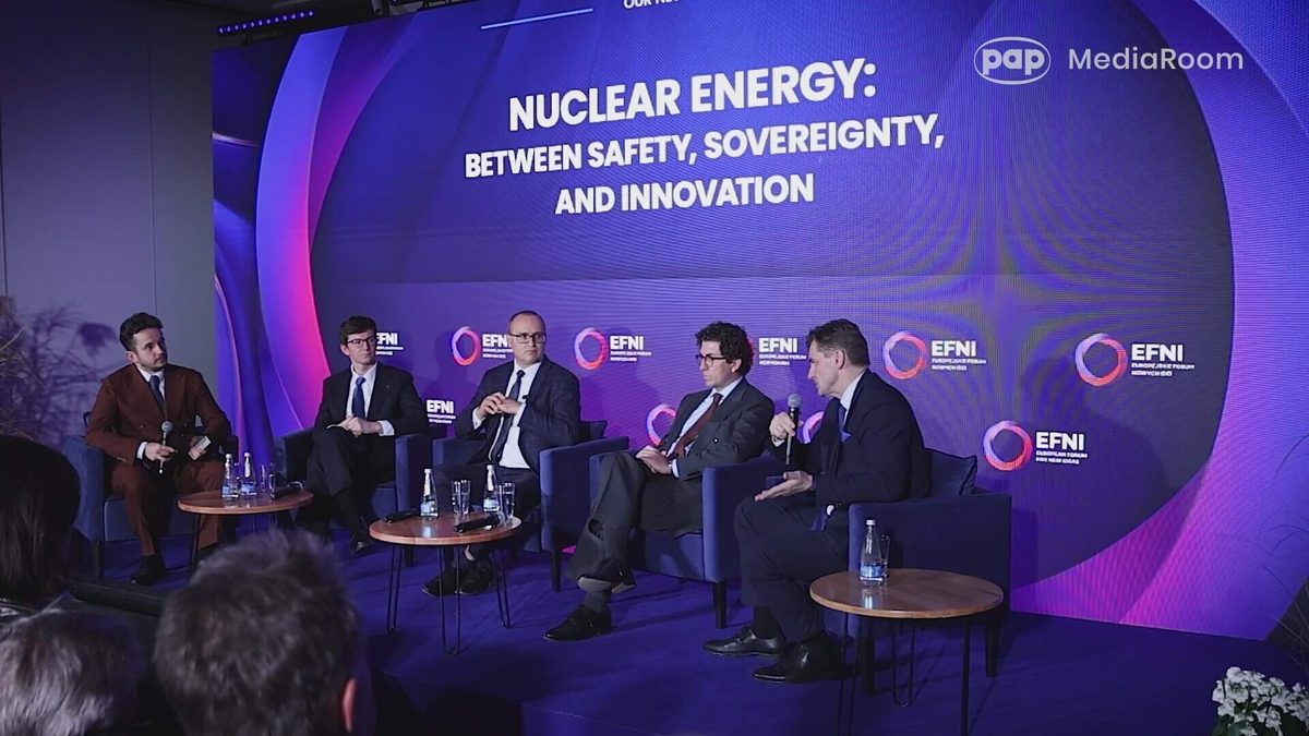 Nuclear energy panel at the European Forum for New Ideas